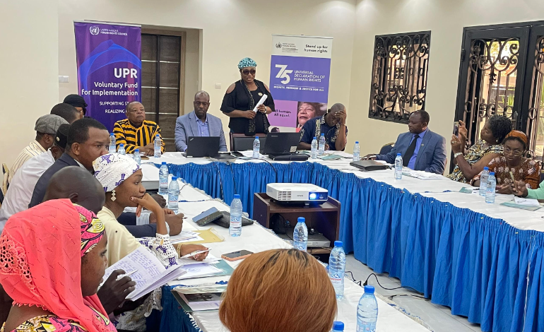 Une feuille de route des libert&eacute;s publiques dans le cadre du suivi du 4e EPU