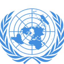 Organisation des Nations Unies